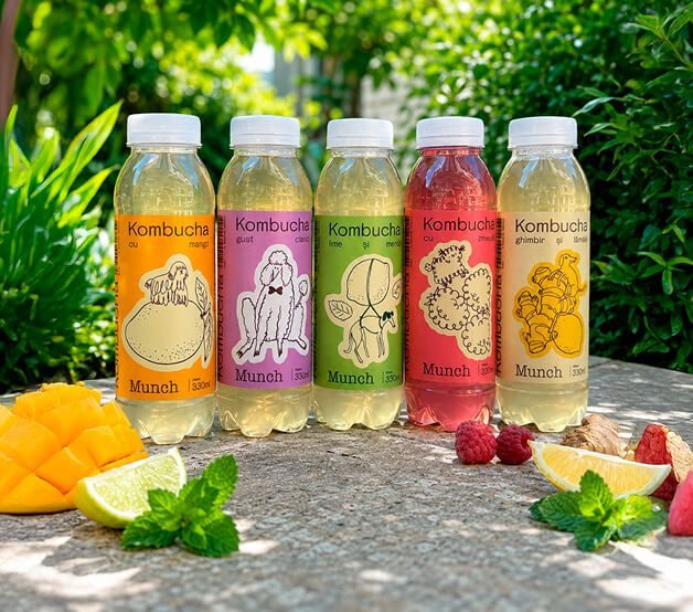 Набор бутылочек Kombucha Frizzante